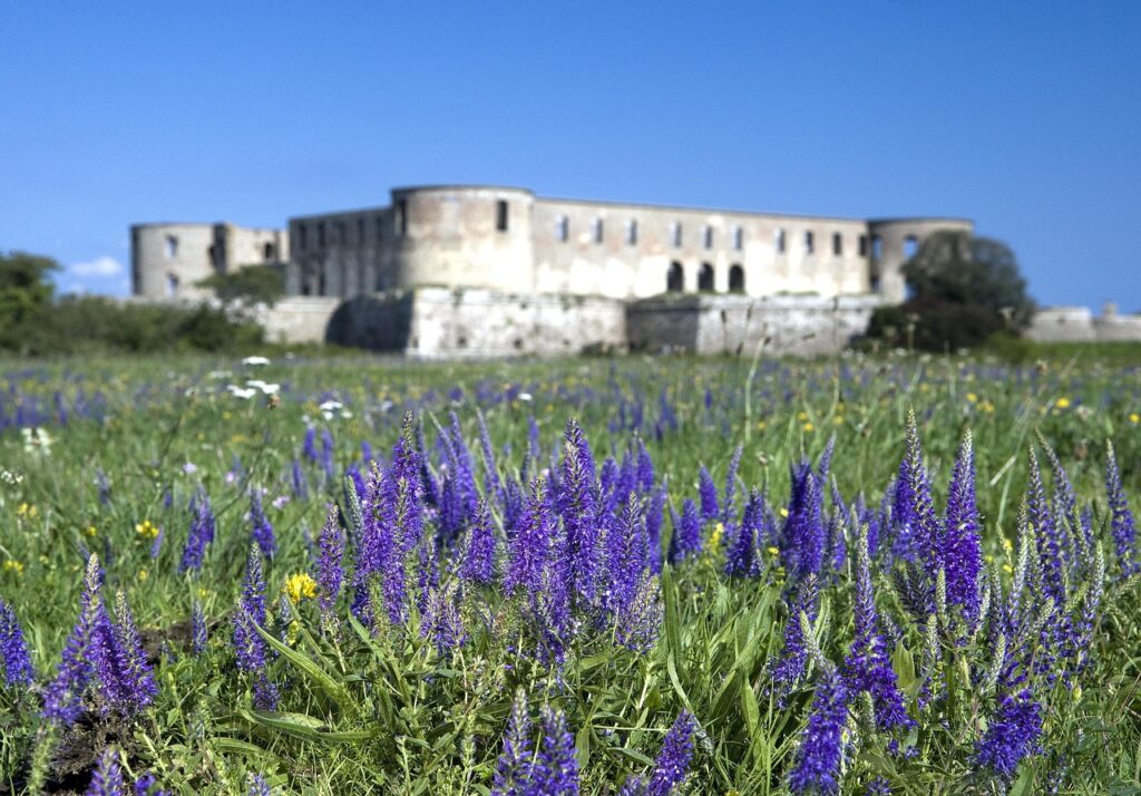 enhörning på borgholms slott