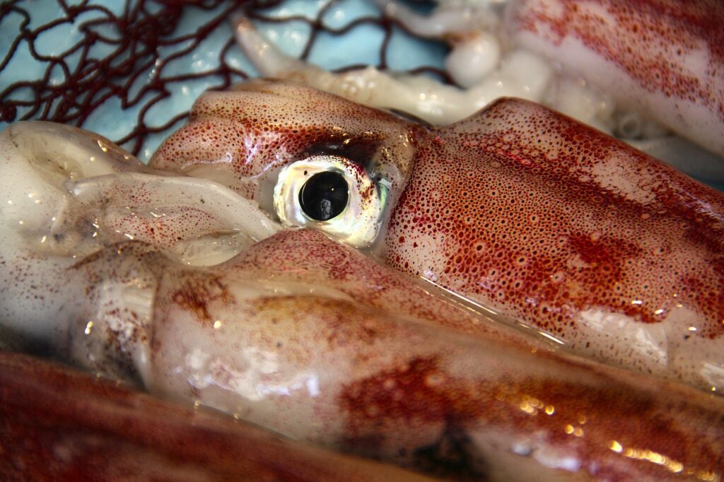 articlekvinna fick legionella pa sjukhus avled