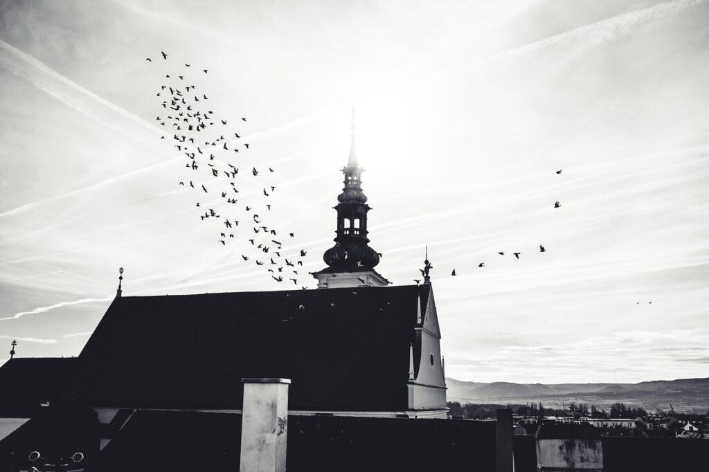 emmabodabedragare doms vid kalmar tingsratt
