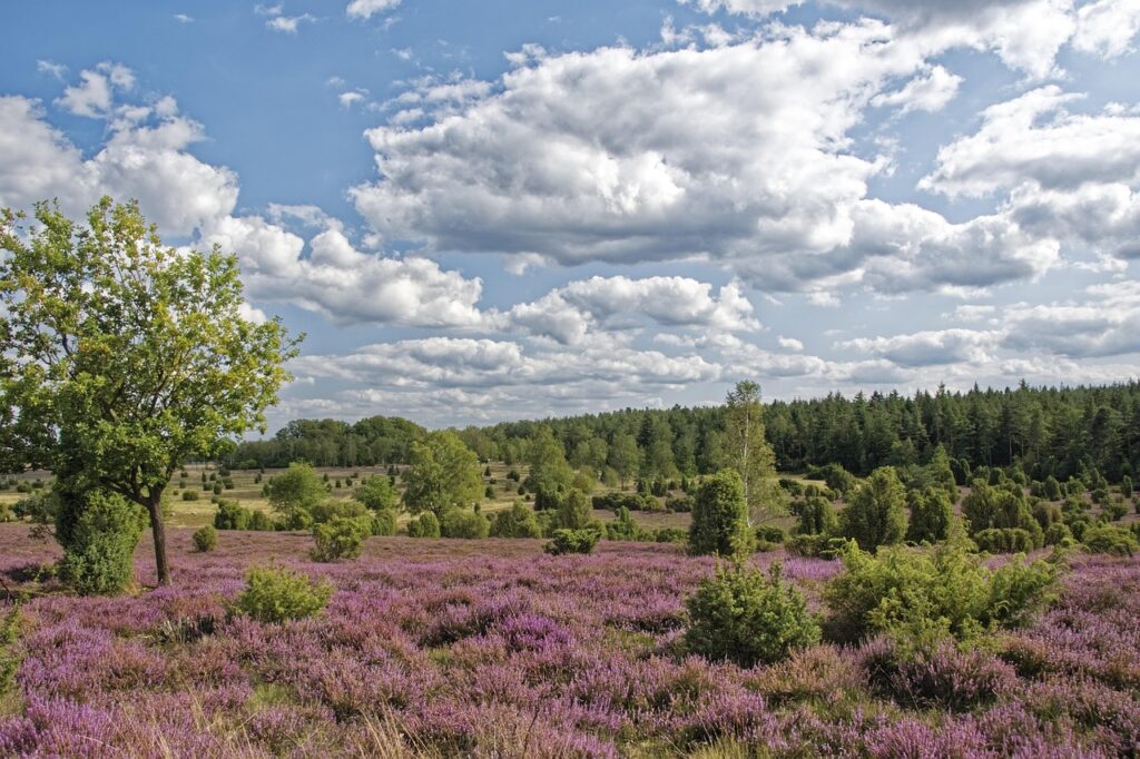 featurehalsa eller optinoja 8e5ff4aa
