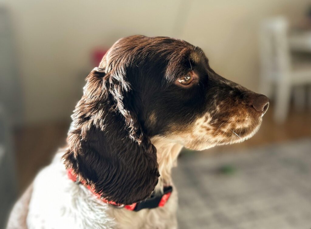 kalmarbildextra har springer jenny nystroms studenter ut