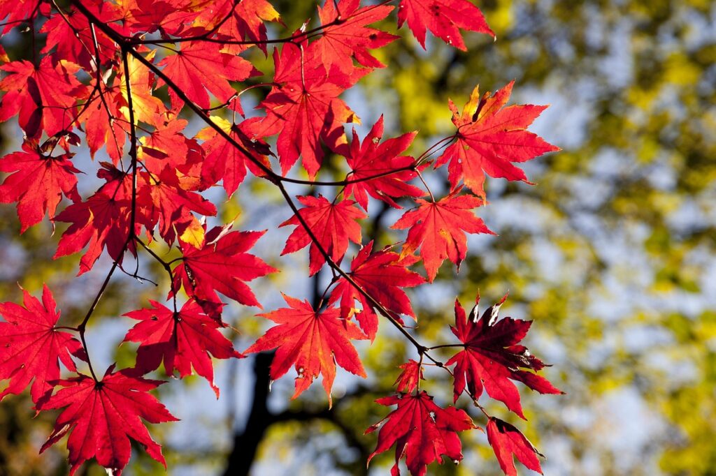 kalmarcovid 19 fredag 43 nya fall fyra pa sjukhus aed5af1c