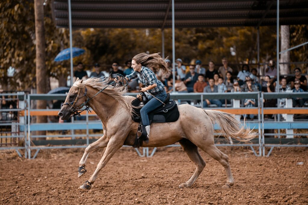 kalmarkalmar horse show flyttas fram till nasta ar