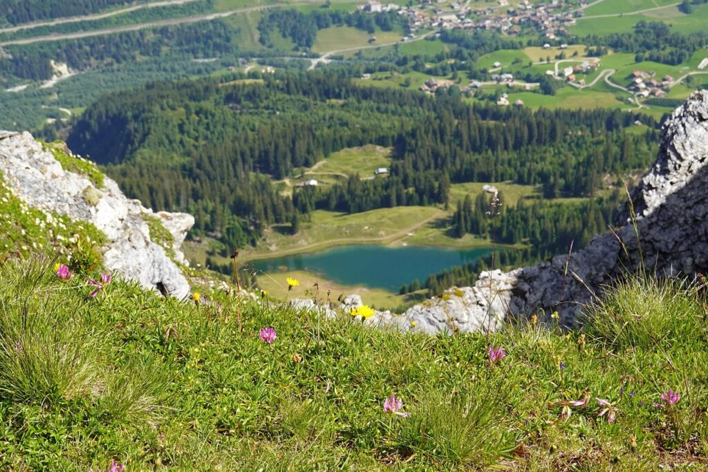 kalmarlag pa sjukhus anmaler stold fran handvaska 2bb9aabc
