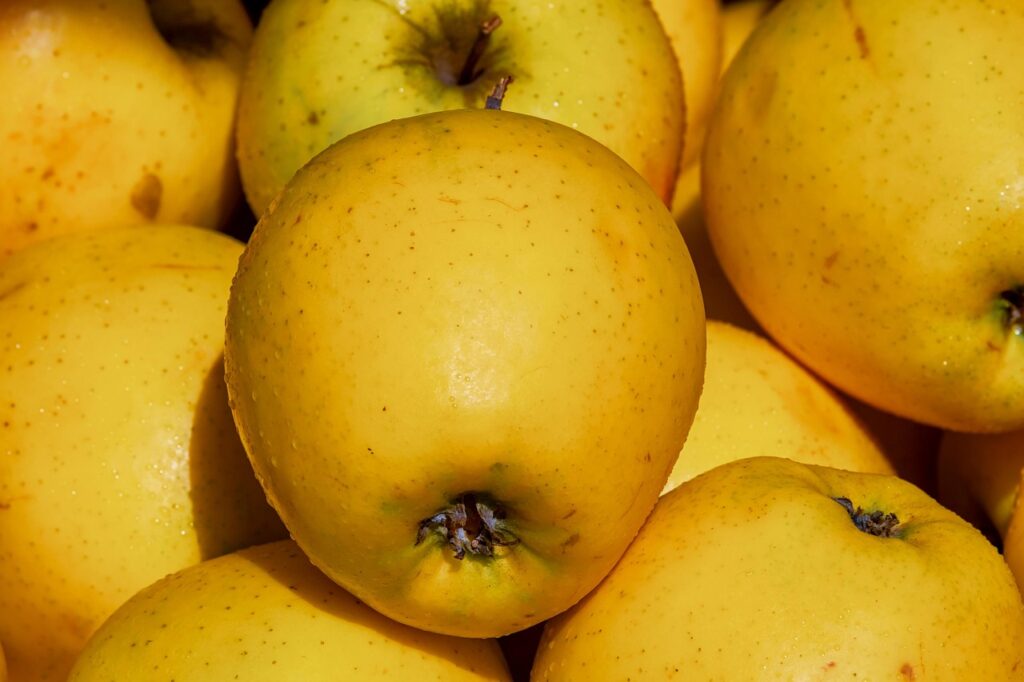 kalmarutdelares elcykel stals paket dumpades 750a000f