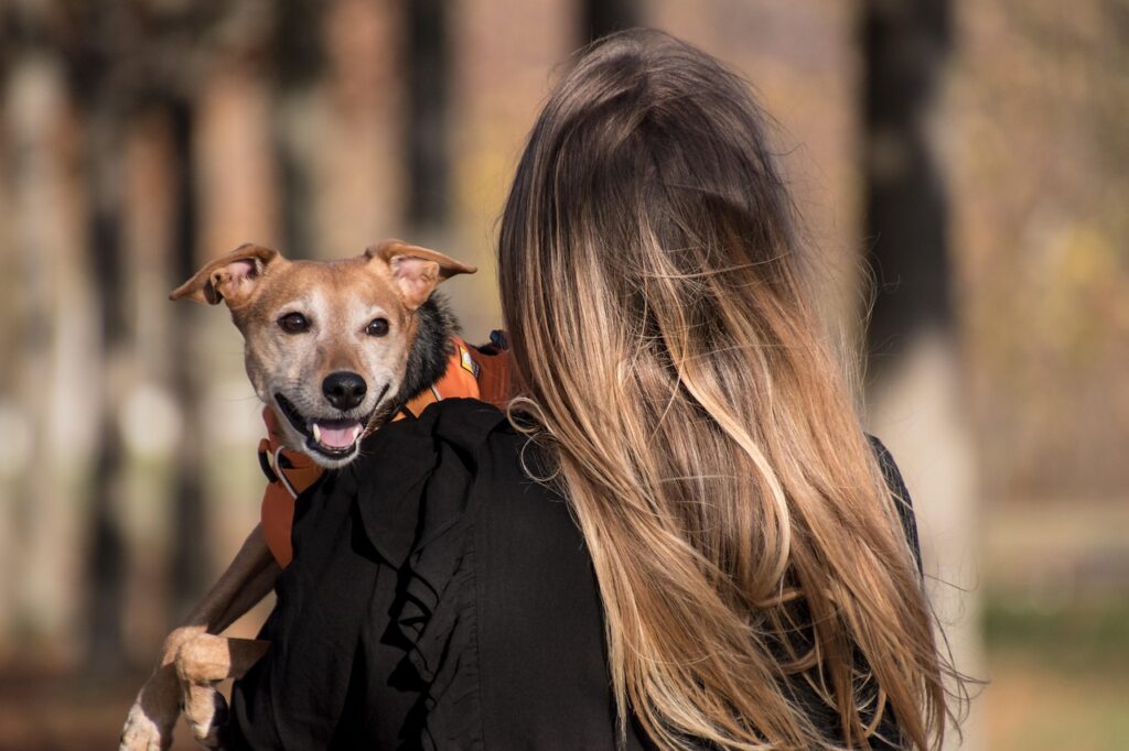 nojekrogsvepet har ar utelivet nar dansgolven oppnar 92475174