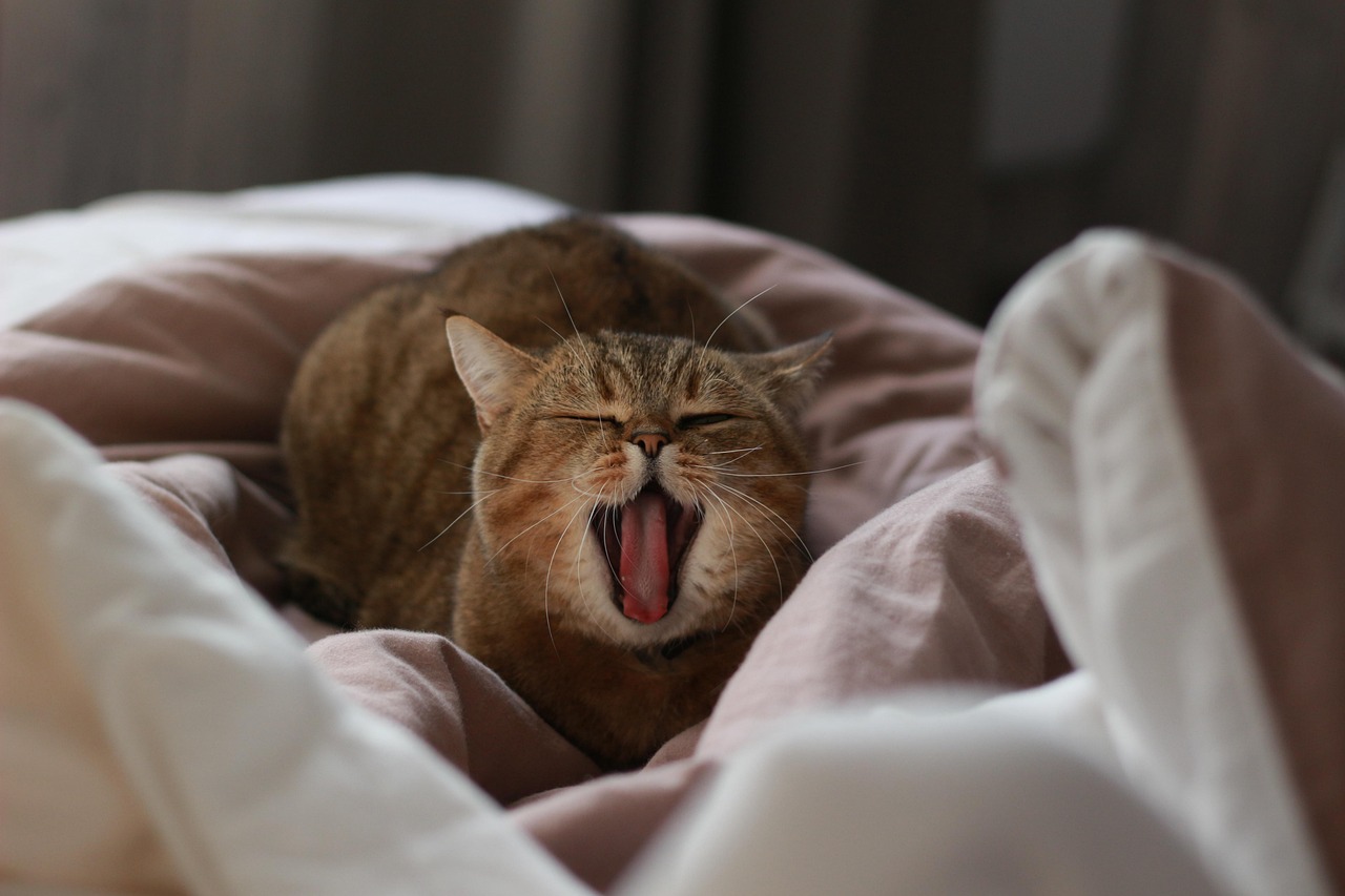 Genrebild. Foto: Mostphotos