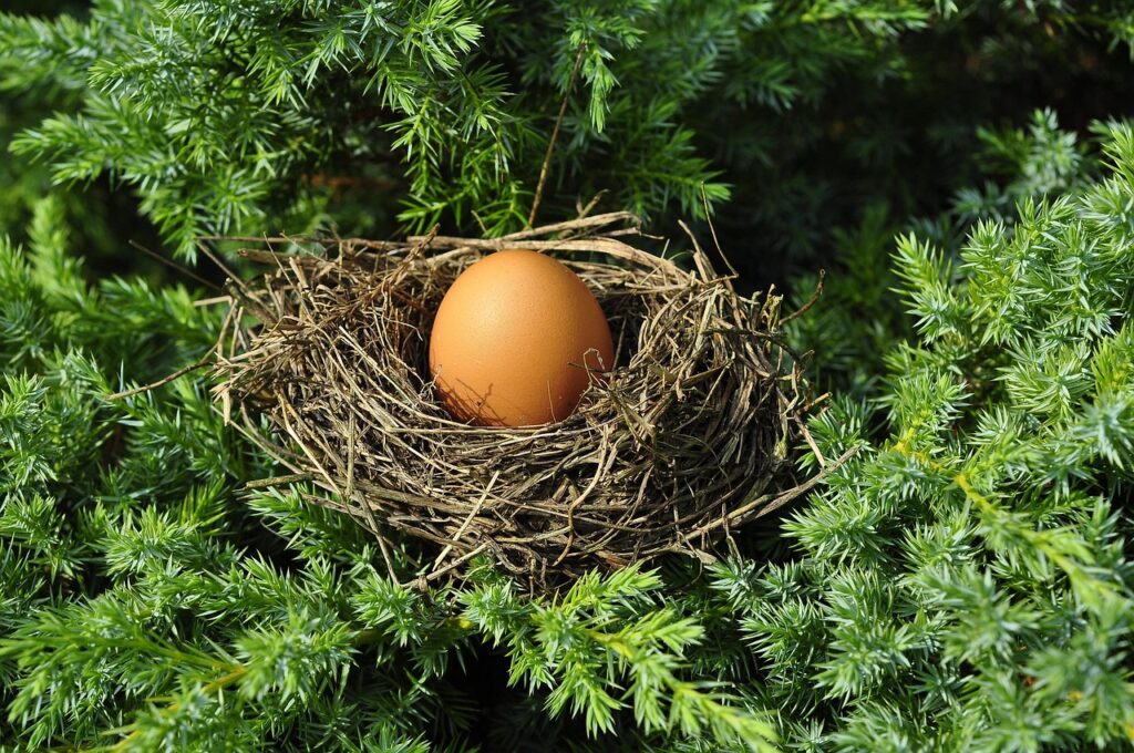 nyheternordic nest i miljardaffar kops upp 9e9a72f1